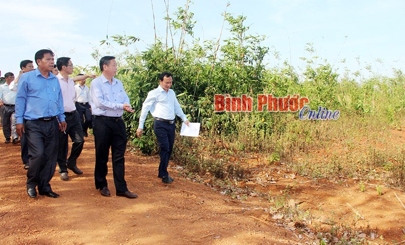 Thực hiện kết luận của Thanh tra Ch&iacute;nh phủ: Ki&ecirc;n quyết thu hồi đất giao sai chủ trương