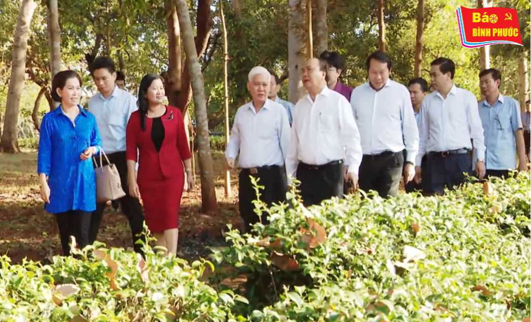 [Video] Thủ tướng thăm mô hình du lịch sinh thái Mỹ Lệ