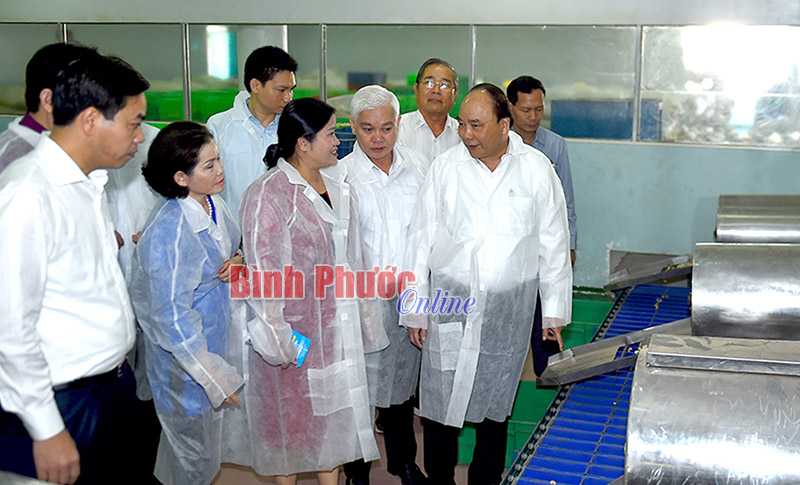 Thủ tướng Nguyễn Xu&acirc;n Ph&uacute;c thăm m&ocirc; h&igrave;nh du lịch sinh th&aacute;i tại B&igrave;nh Phước