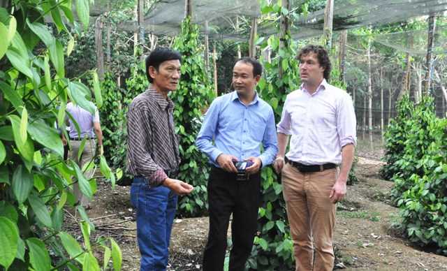 Tổ chức Nông nghiệp Hà Lan tìm hiểu các HTX tại Bình Phước