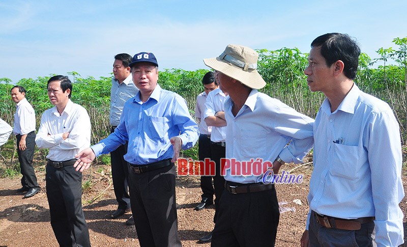 Khảo sát vị trí dự kiến đầu tư Dự án Khu liên hợp tái chế và xử lý chất thải tại Hớn Quản