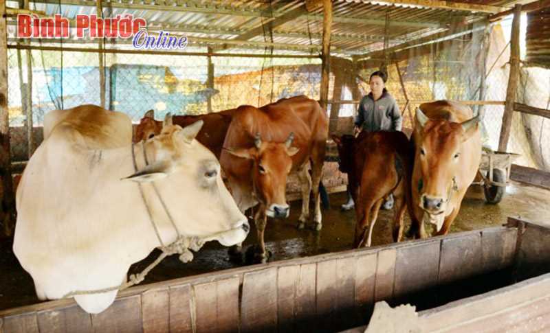 Tổ tình làng nghĩa xóm Thịnh Phú