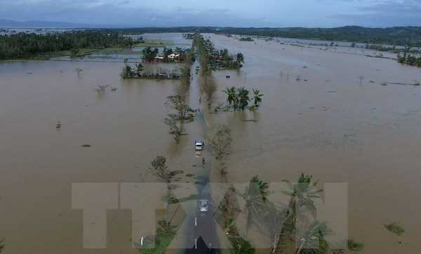 Bão lớn tại Đông Nam nước Mỹ khiến hàng chục người thương vong