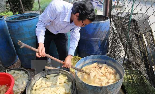 Năm 2017 quyết chấm dứt tình trạng dùng chất cấm trong chăn nuôi