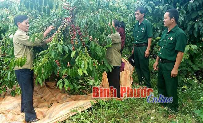 Những cựu chiến binh l&agrave;m kinh tế giỏi ở Thống Nhất