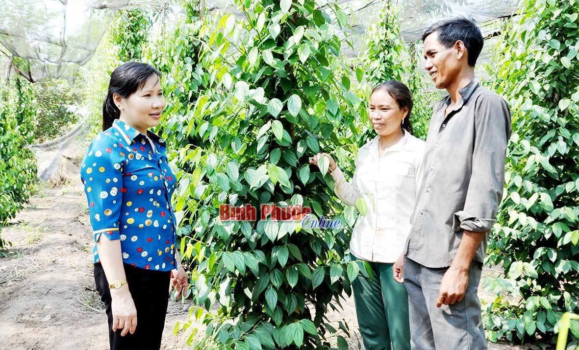 Điểm tựa cho hộ nghèo, gia đình chính sách