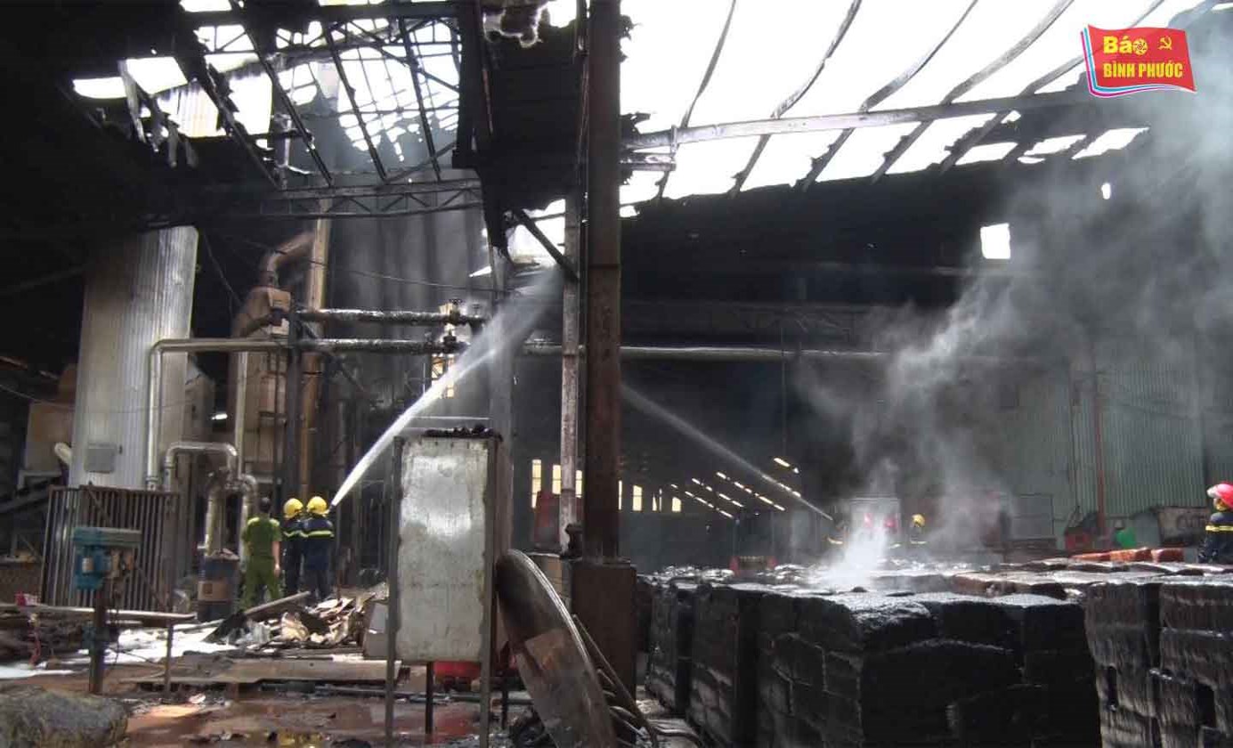 [Video] Cháy lớn ở nhà máy chế biến mủ cao su Thuận Dung 