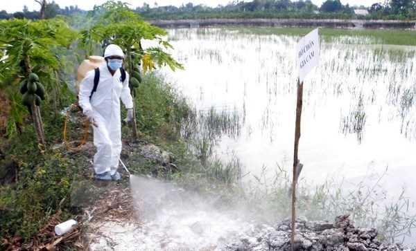 Xuất hiện thêm ổ dịch cúm gia cầm H5N1 tại tỉnh Cao Bằng