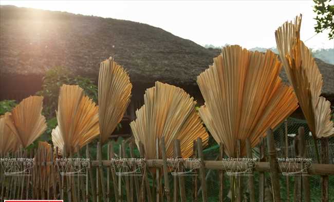 Bản nh&agrave; l&aacute;