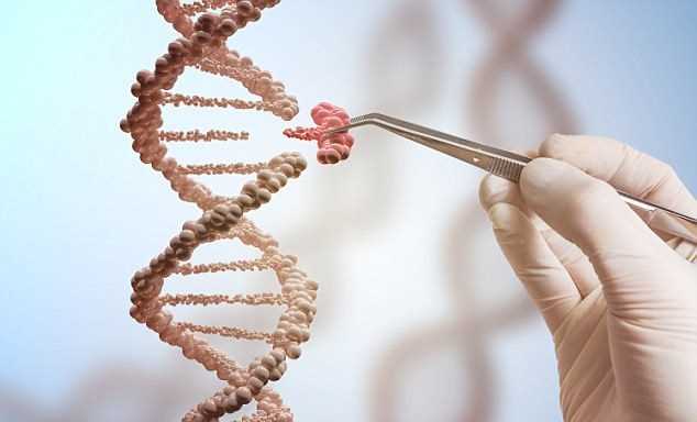 Loại bỏ hoàn toàn DNA HIV trên tế bào người cấy ghép vào chuột