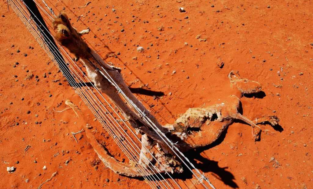 Hậu quả khủng khiếp của biến đổi khí hậu