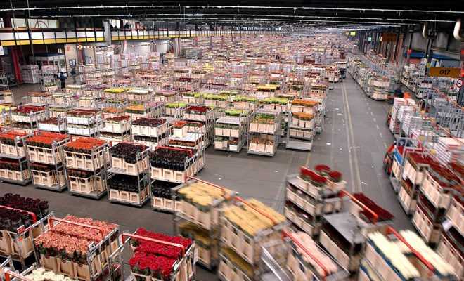 Ph&oacute; Thủ tướng Trịnh Đ&igrave;nh Dũng thăm l&agrave;m việc tại H&agrave; Lan