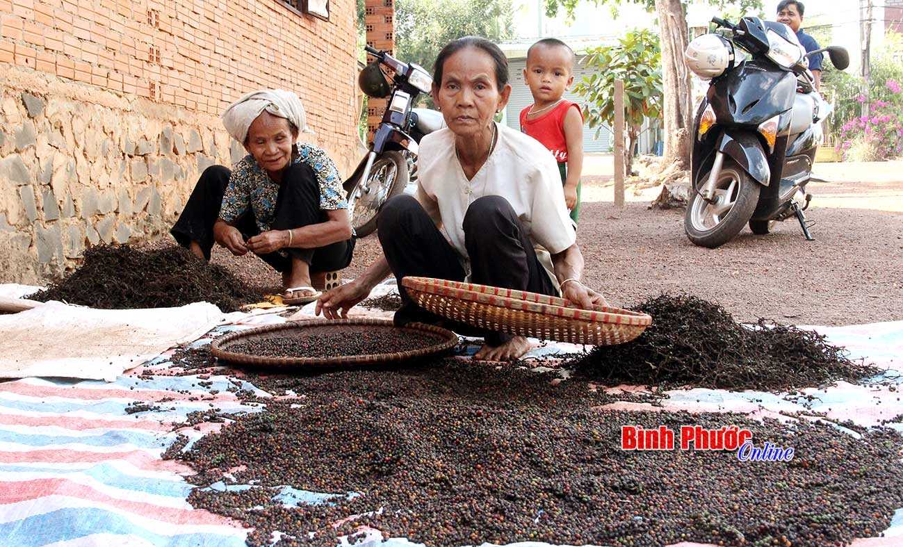 Không mua bảo hiểm y tế vì… không đủ tiền