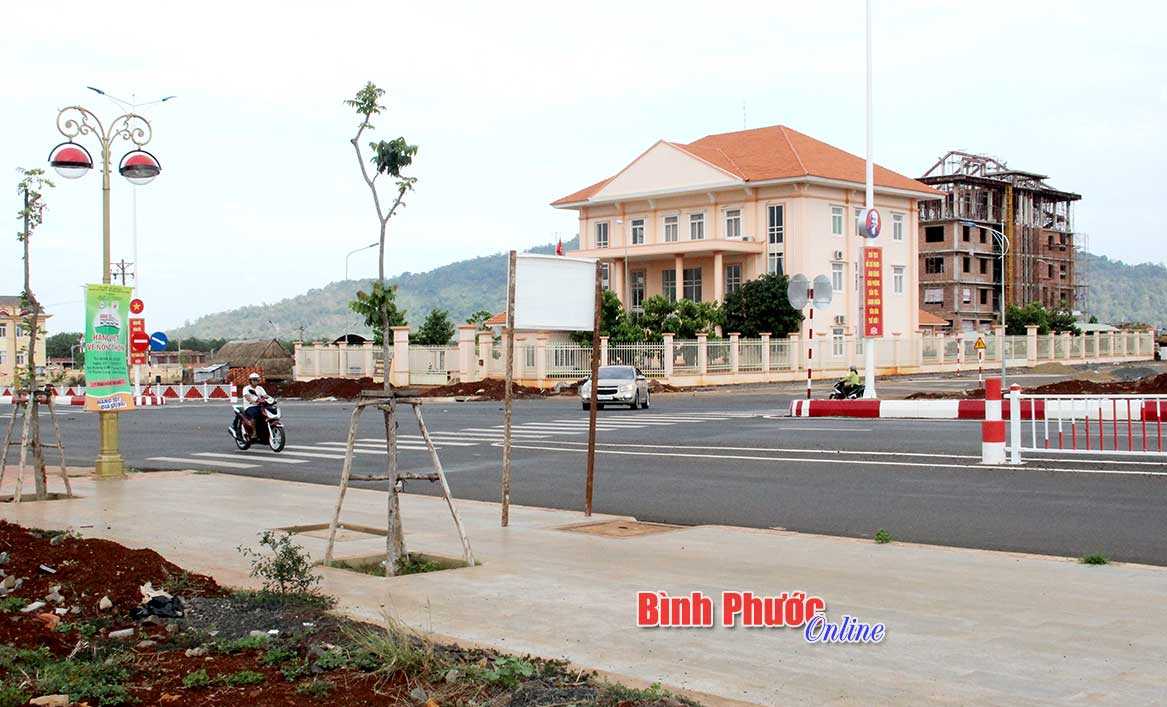 Dải phân cách làm tăng tai nạn giao thông