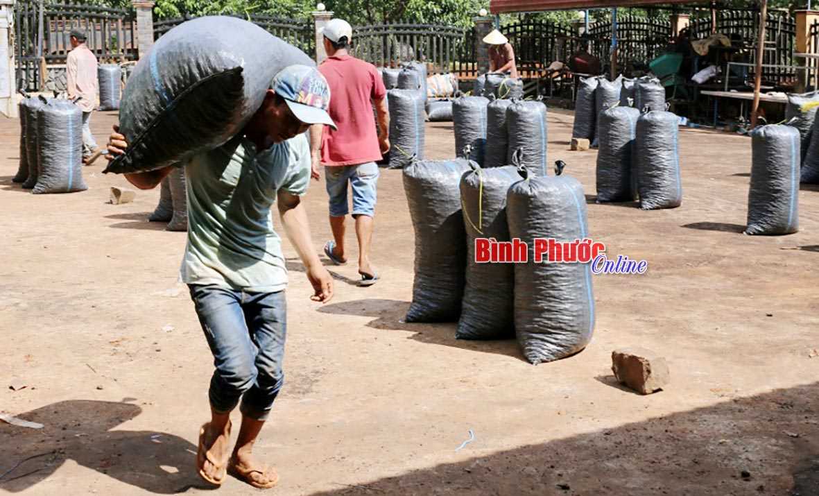 Nhọc nhằn công việc phơi điều