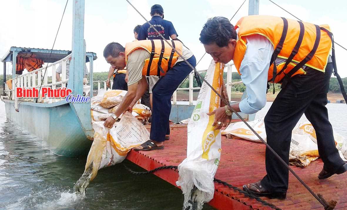 Thả 450kg cá giống xuống hồ thủy điện Thác Mơ