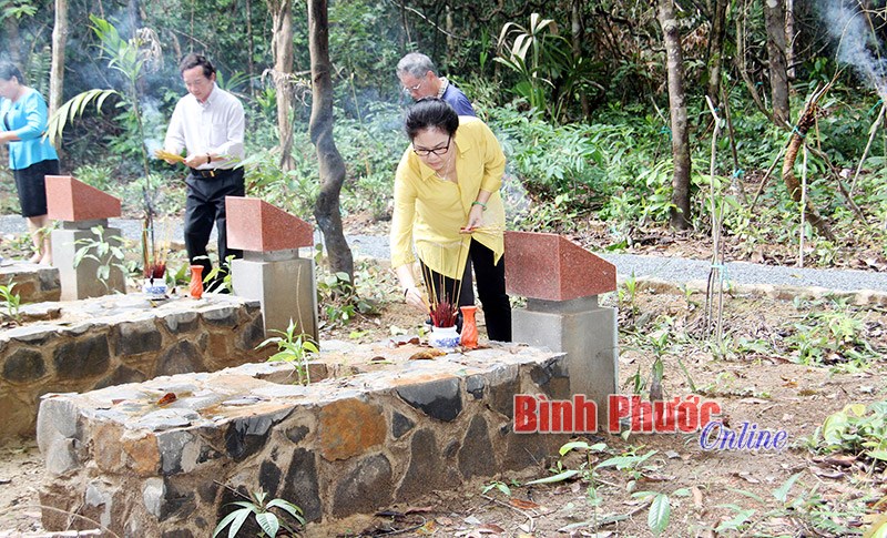 Bi h&ugrave;ng những ng&ocirc;i mộ gi&oacute; ở Chiến khu Đ