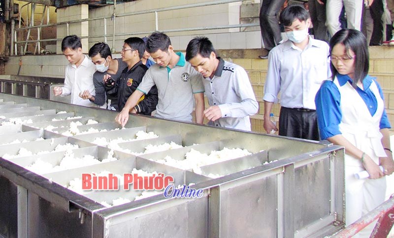 6 tháng, Bình Long thành lập 95 doanh nghiệp, cơ sở kinh tế cá thể