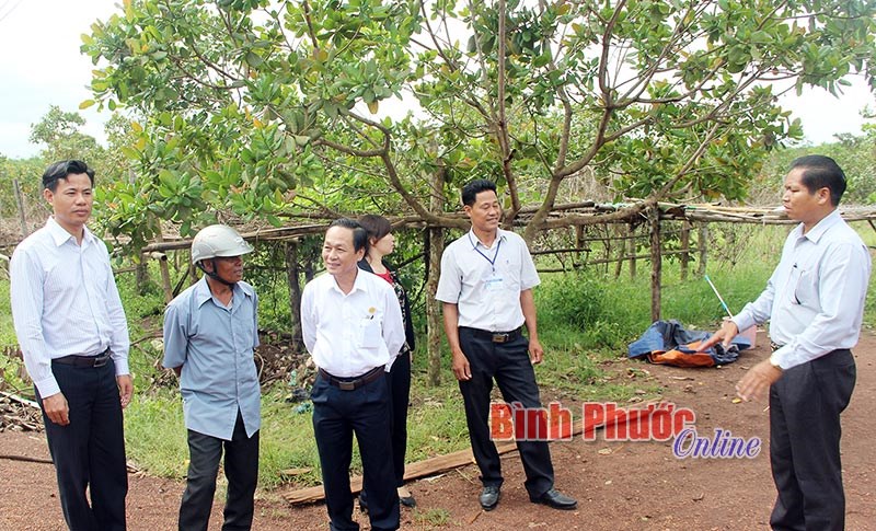 B&ugrave; Đốp c&oacute; 6/7 x&atilde; v&ugrave;ng DTTS được đầu tư cơ sở hạ tầng