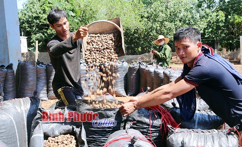 Bù Gia Mập nỗ lực hỗ trợ doanh nghiệp phát triển