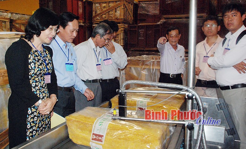 Cao su Phú Riềng ứng dụng khoa học - kỹ thuật vào sản xuất