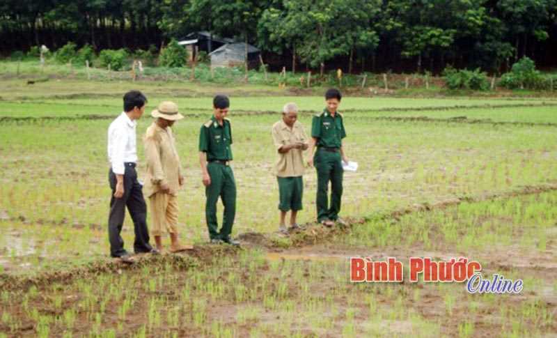 Trao 17 căn nhà đại đoàn kết cho hộ nghèo ở Thiện Hưng