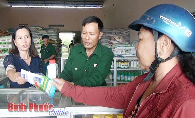 CCB huyện Bù Đăng với mô hình sản xuất - kinh doanh khép kín