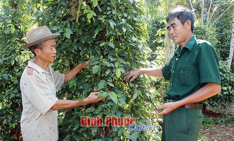 CCB Hớn Quản s&aacute;ng m&atilde;i phẩm chất bộ đội Cụ Hồ