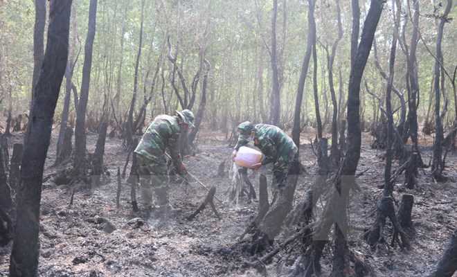 Cháy hơn 36ha rừng tràm do người dân bất cẩn vứt tàn thuốc lá
