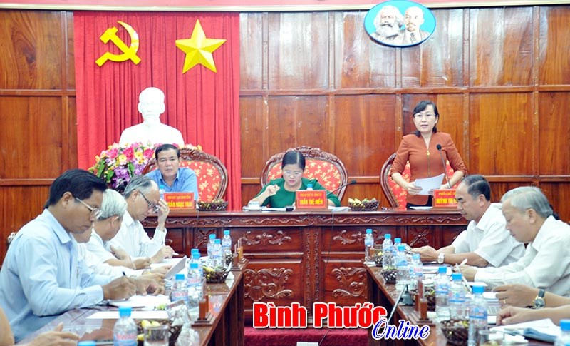 HĐND tỉnh gi&aacute;m s&aacute;t t&igrave;nh h&igrave;nh thực hiện Nghị quyết về KT-XH tại UBND tỉnh