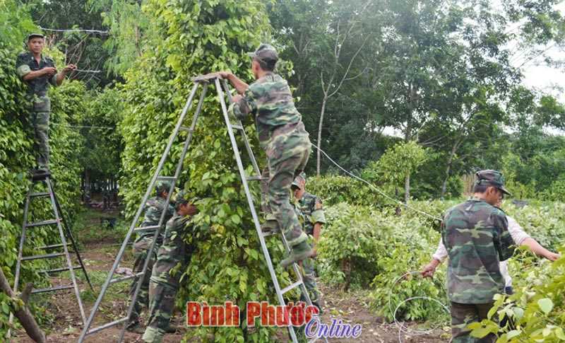 Đồn biên phòng Tà Vát giúp dân dựng tiêu gãy, đổ