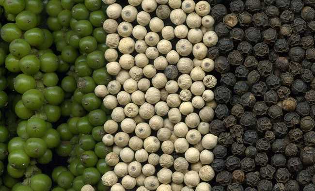 Giá hồ tiêu giảm mạnh