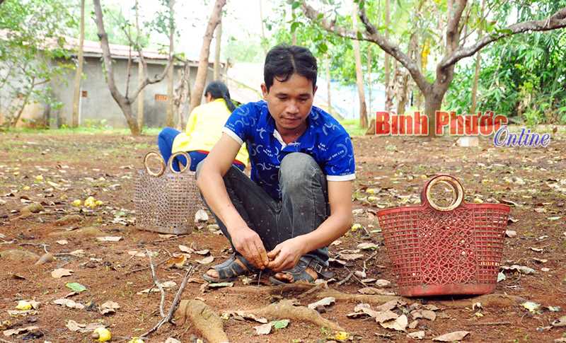 Bù Gia Mập: 37 hộ đồng bào DTTS đã chuộc lại đất cầm cố