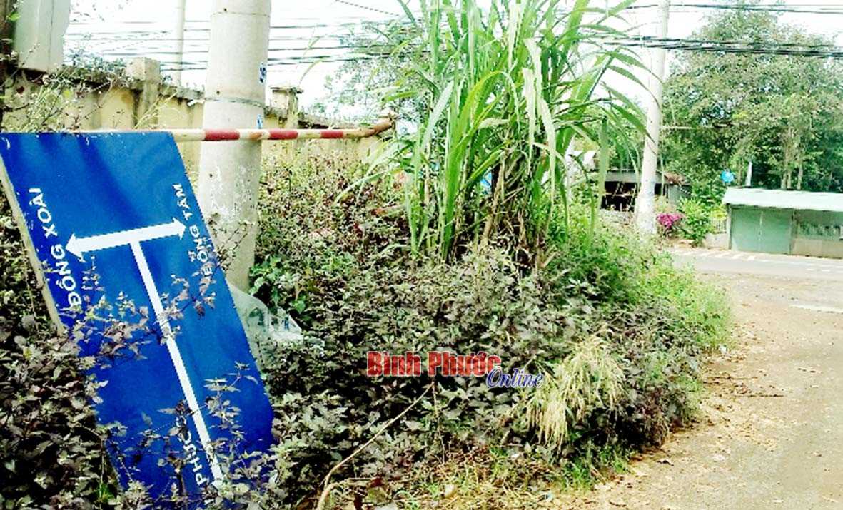 Biển chỉ dẫn đường &ldquo;nằm ngủ&rdquo;