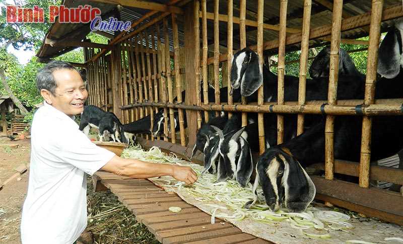 Hiệu quả từ đồng vốn hỗ trợ đảng vi&ecirc;n ngh&egrave;o