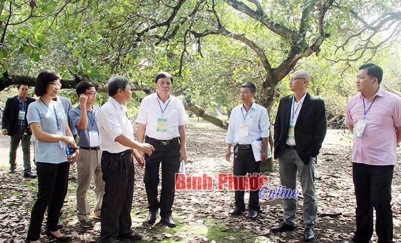 Nguyên tắc hoạt động của Quỹ Hỗ trợ phát triển HTX