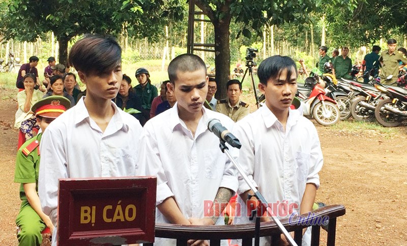 45 th&aacute;ng t&ugrave; cho 3 kẻ trộm cắp t&agrave;i sản v&agrave; bu&ocirc;n b&aacute;n ma t&uacute;y