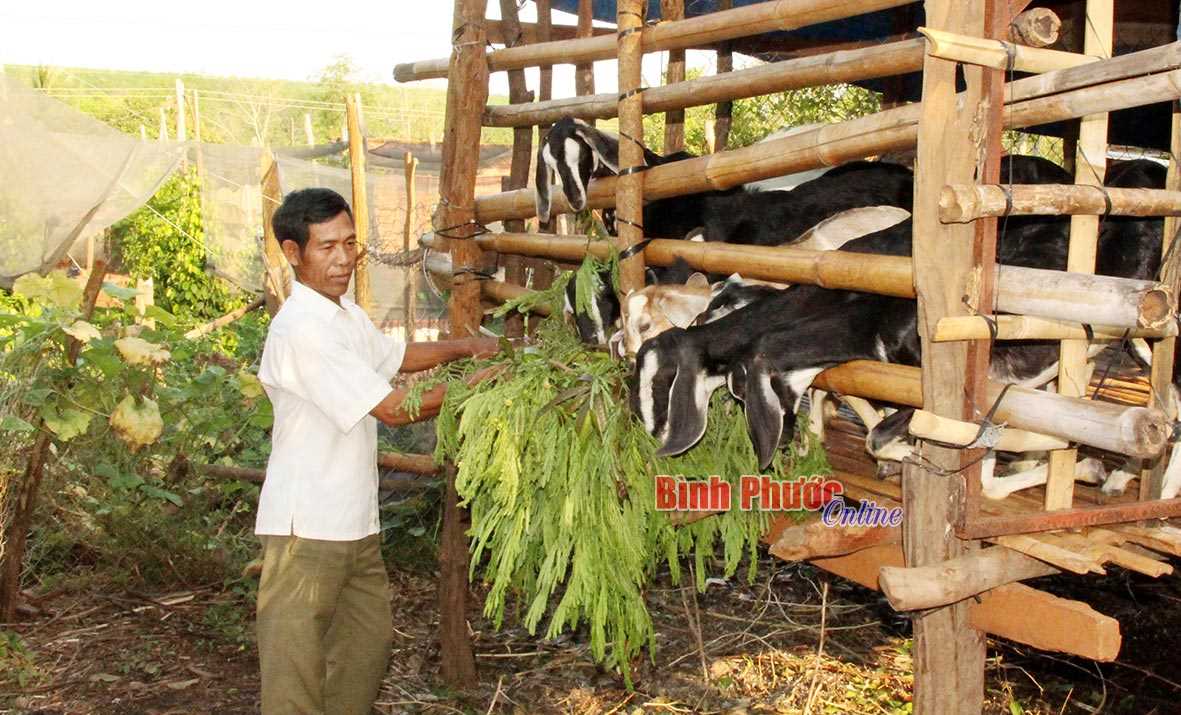 Đồn bi&ecirc;n ph&ograve;ng B&ugrave; Đốp c&ugrave;ng nh&acirc;n d&acirc;n bảo vệ bi&ecirc;n giới