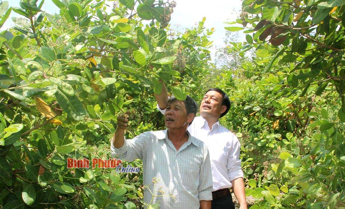 Đổi thay ở xã nông thôn mới Tân Lập