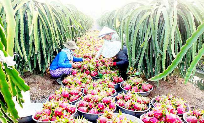 ADB dự báo kinh tế Việt Nam tăng trưởng 6,5% trong năm 2017