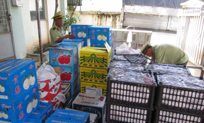 Tịch thu, tiêu hủy 940kg trái cây nhập lậu