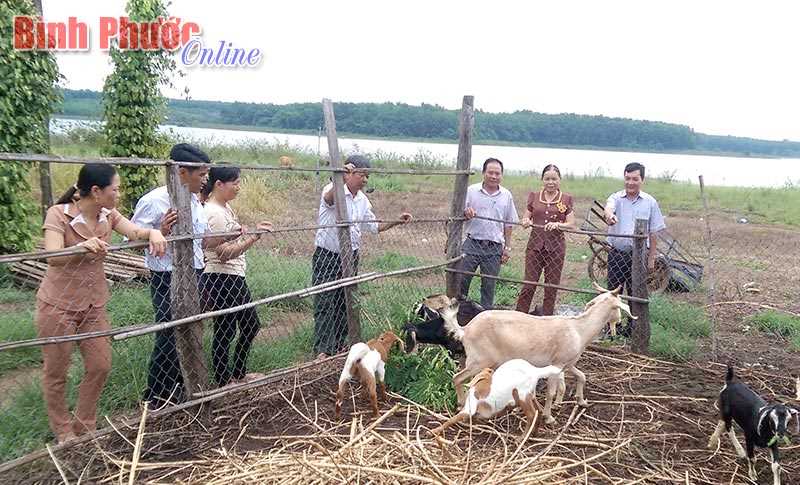 Khi các ngành chuyên môn gắn với cơ sở