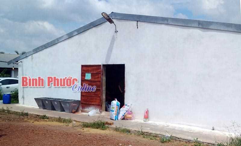 Tử vong tại trại g&agrave;