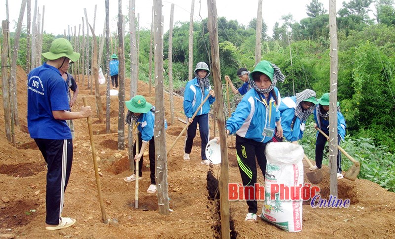 Làm thế nào để nâng cao chất lượng tổ chức đoàn cơ sở? - Bài 1