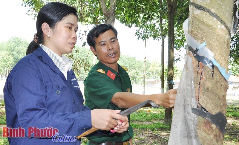 Lâm Thị Ngọc Lợi - điển hình làm theo Bác ở Trung đoàn 717