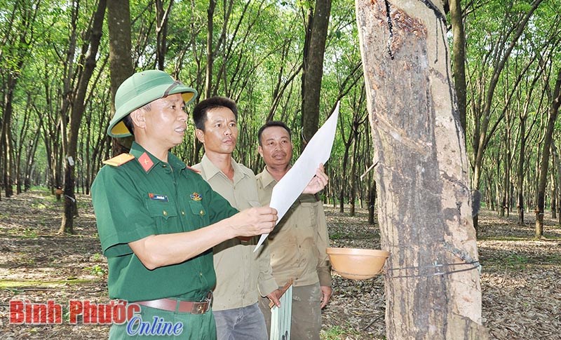 Người l&iacute;nh Cụ Hồ tỏa s&aacute;ng từ phong tr&agrave;o học theo B&aacute;c