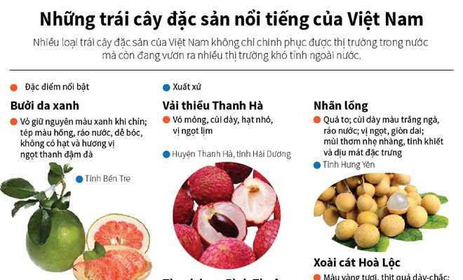 [Infographics] Những trái cây đặc sản nổi tiếng của Việt Nam