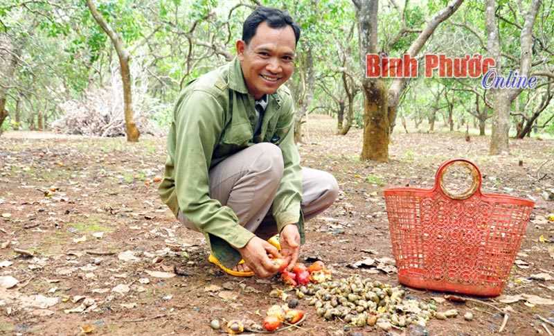 Niềm vui lấy lại đất