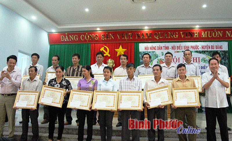 Tuyên dương 17 nông dân trồng điều giỏi tại huyện Bù Đăng