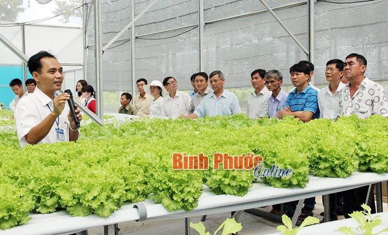 Chính sách hỗ trợ DN đầu tư vào nông nghiệp